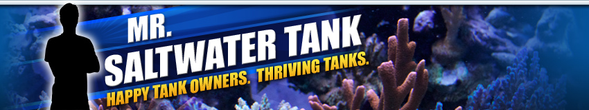 MrSaltWaterTank.com